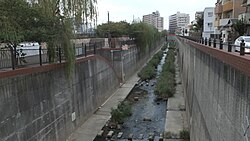 2020-09-19 Shinminatogawa,新湊川 兵庫県神戸市長田区五番町-六番町 DSCF0860